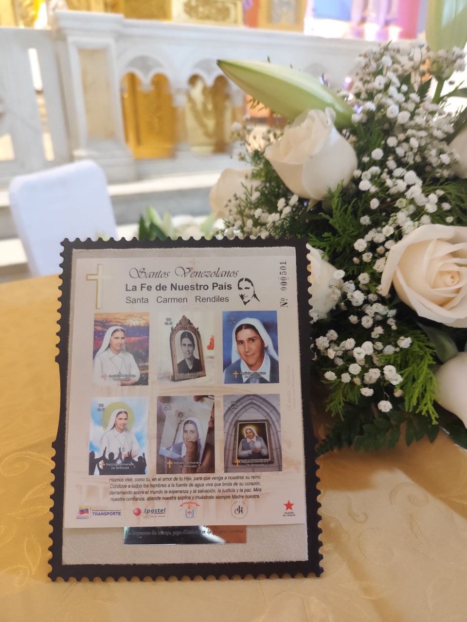 photo_5179437281889160023_y